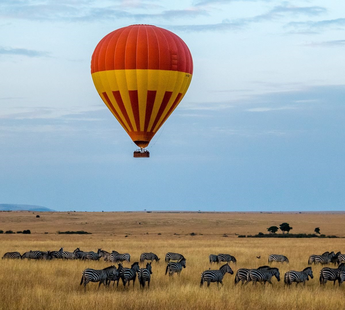 seven days Tanzania safari royal tour 6